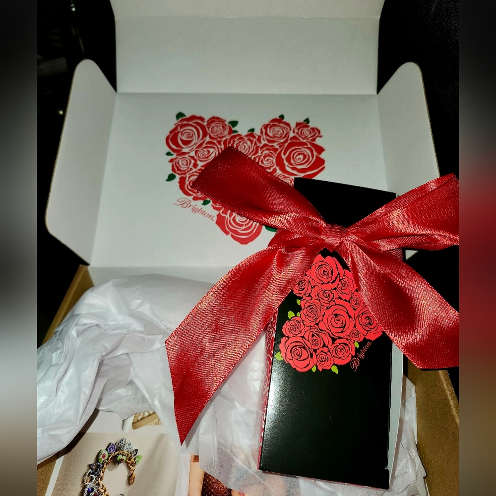Brighton Contempo Small Hoop Earrings Gift Box Set - Picture 5 of 8